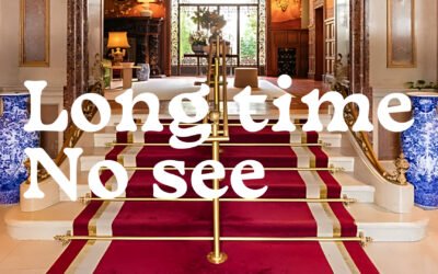 LONG TIME NO SEE